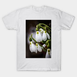 Snowdrops 2 T-Shirt